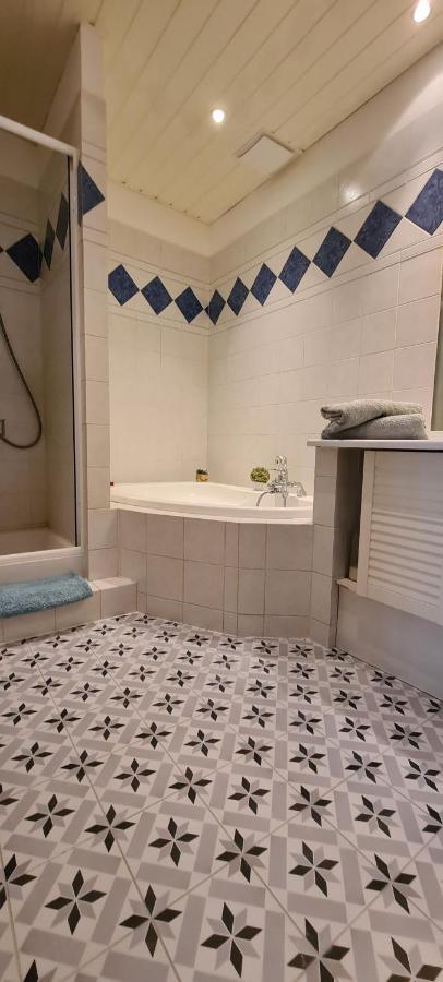 Bluemoon-Appartement En Plein Centre De Ville D'אנסי מראה חיצוני תמונה